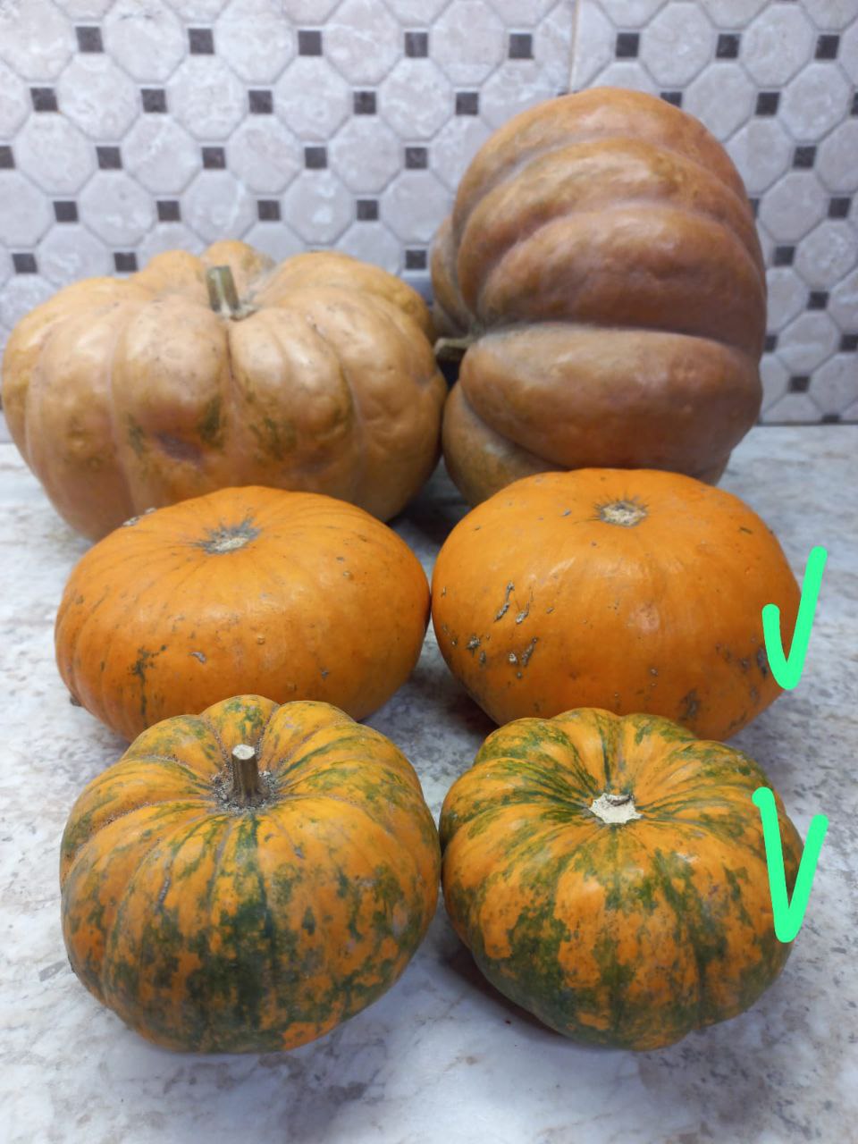 Фаршированная тыква