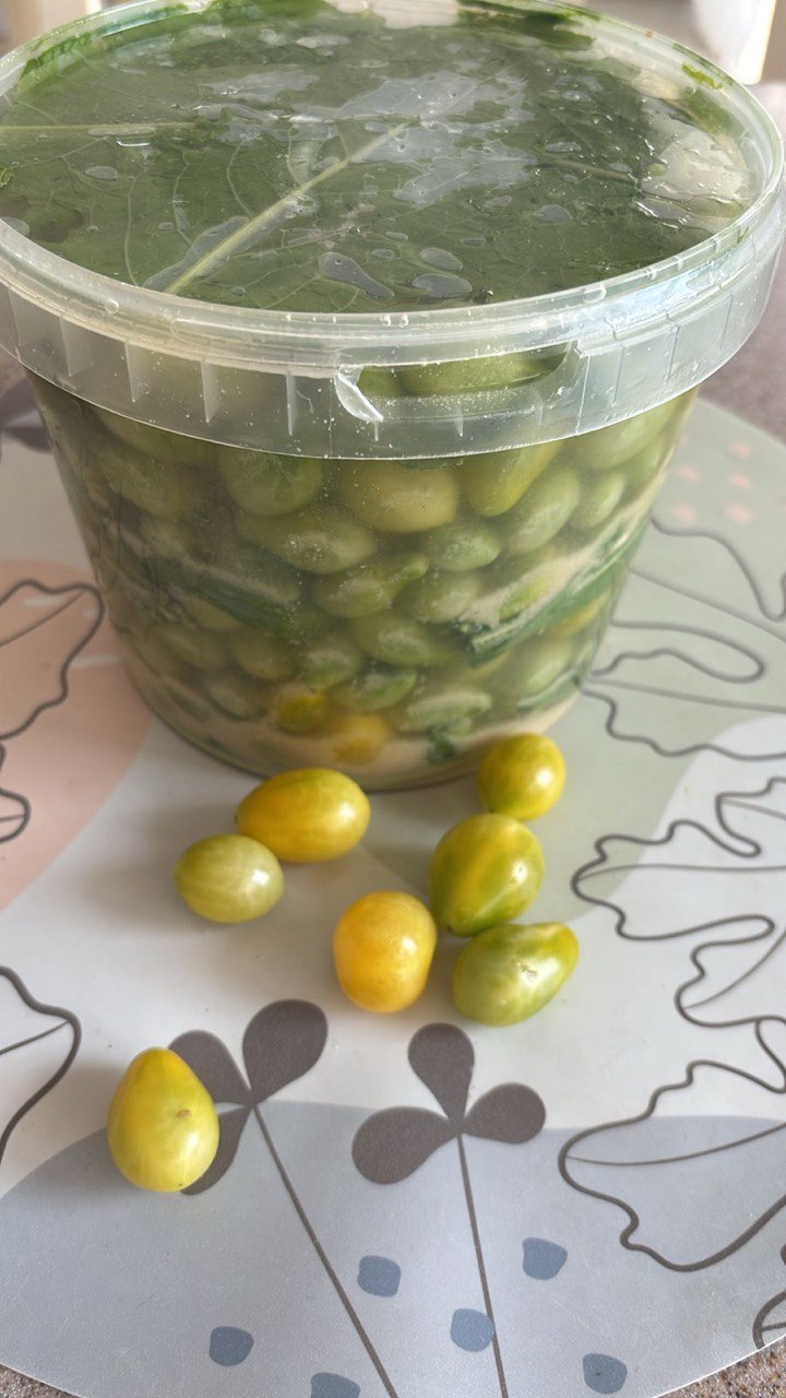 Квашенные зеленые помидоры