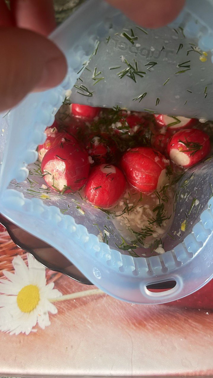 Битый редис