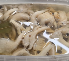 Вешенки маринованные